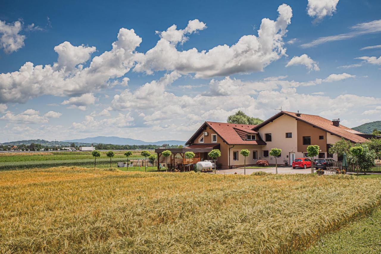 Lux Living Apartments Budic Near Terme Catez Брежице Экстерьер фото