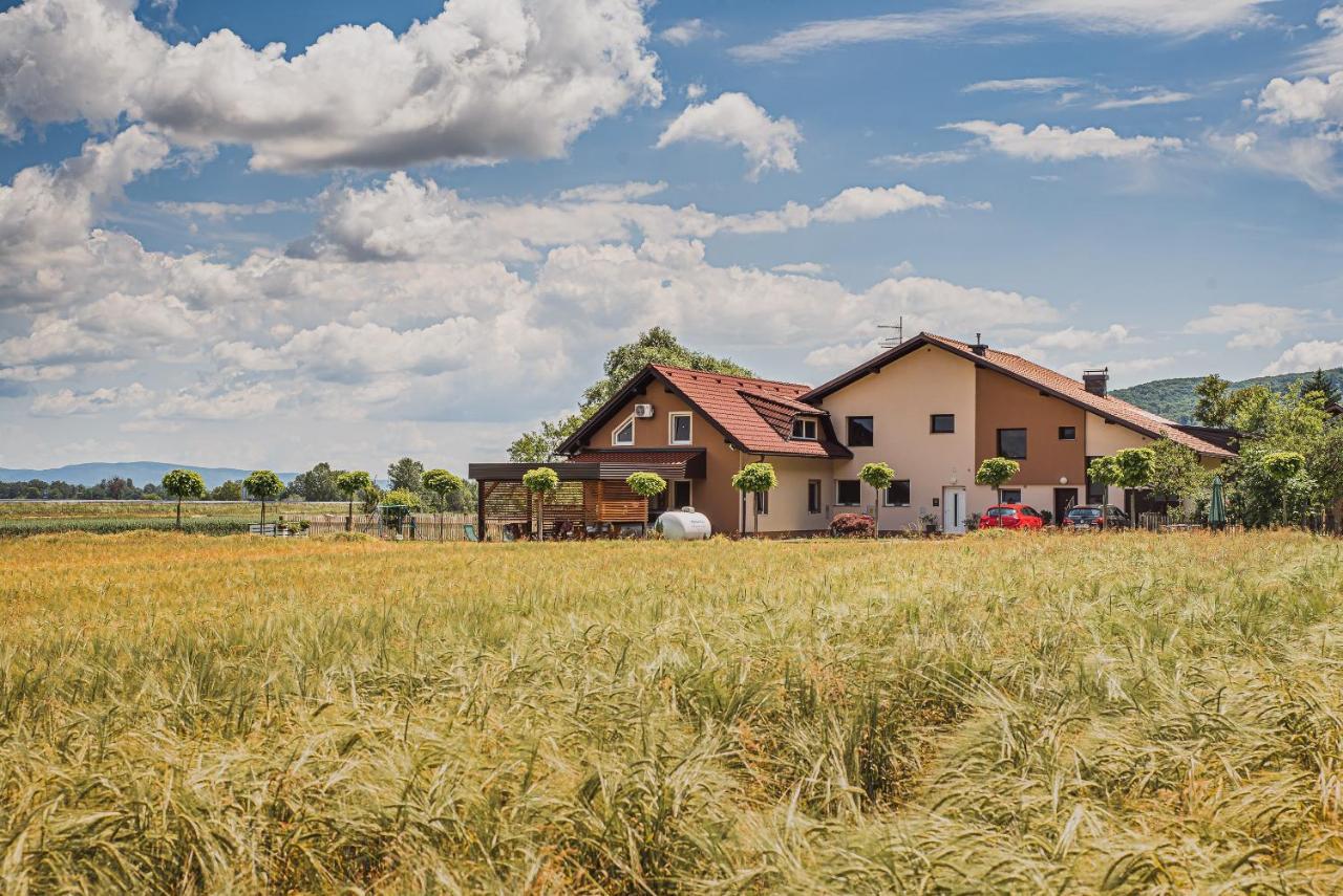 Lux Living Apartments Budic Near Terme Catez Брежице Экстерьер фото