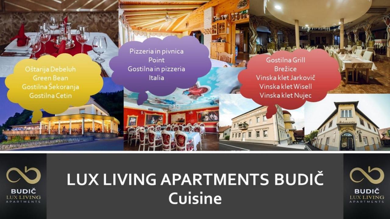 Lux Living Apartments Budic Near Terme Catez Брежице Экстерьер фото